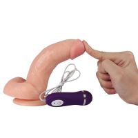 SheQu Kassadin realistische vibrator met afstandsbediening 17,5 cm, afbeelding 4
