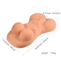 SheQu Carrie torso 7,5 kg, afbeelding 6