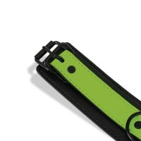 IntoYou glow in the dark halsband met riem, afbeelding 3