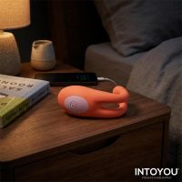 IntoYou Lovit Flexibel vibrerend koppelspeeltje, afbeelding 12