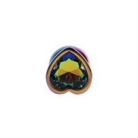 Chisa Rainbow Heart Buttplug Maat M