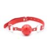 Bondage Set 10 Pieces Red - Afbeelding 15
