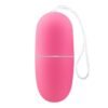 Ecopink Vibrating Egg with Remote Control - Afbeelding 5