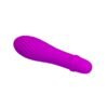 Stimulator Solomon Paars - Afbeelding 2